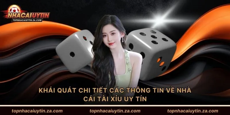 Khái quát chi tiết các thông tin về nhà cái tài xỉu uy tín