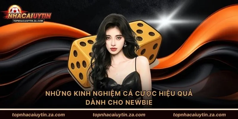 Những kinh nghiệm cá cược hiệu quả dành cho newbie